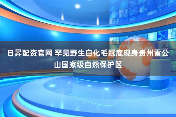 日昇配资官网 罕见野生白化毛冠鹿现身贵州雷公山国家级自然保护区